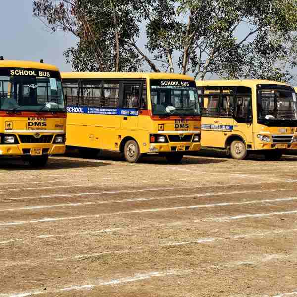 Safe Transport Services